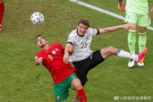 德国队vs葡萄牙队交战历史